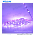 SMD5050 RGBW Four in One Flexible LED Strip Light